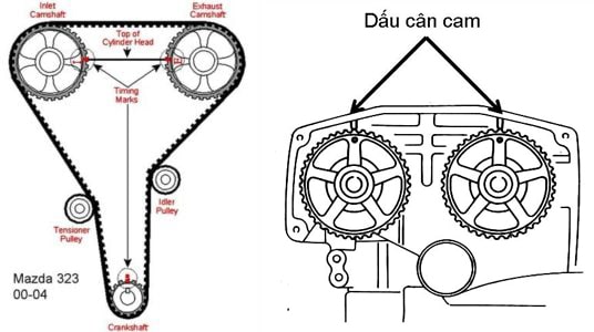 cân cam động cơ